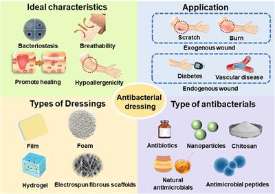 Advances of antimicrobial dressings loaded with antimicrobial agents in infected wounds